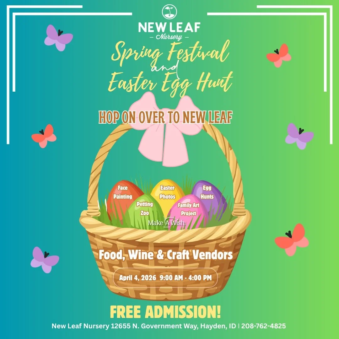 The countdown is ON &mdash; we&rsquo;re just 8 days away from our Annual Spring Festival &amp; Egg Hunt at New Leaf Nursery! 🌷🐣🪻

Join us April 4 as we celebrate another amazing year of spring fun, community, and tradition &mdash; and the best par