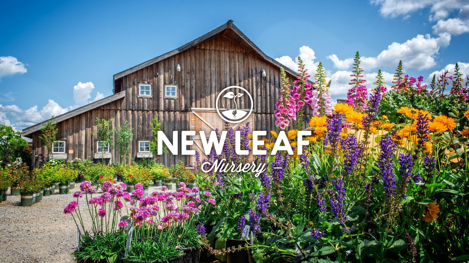 Untitled design - 2026-04-04T181755.701.png