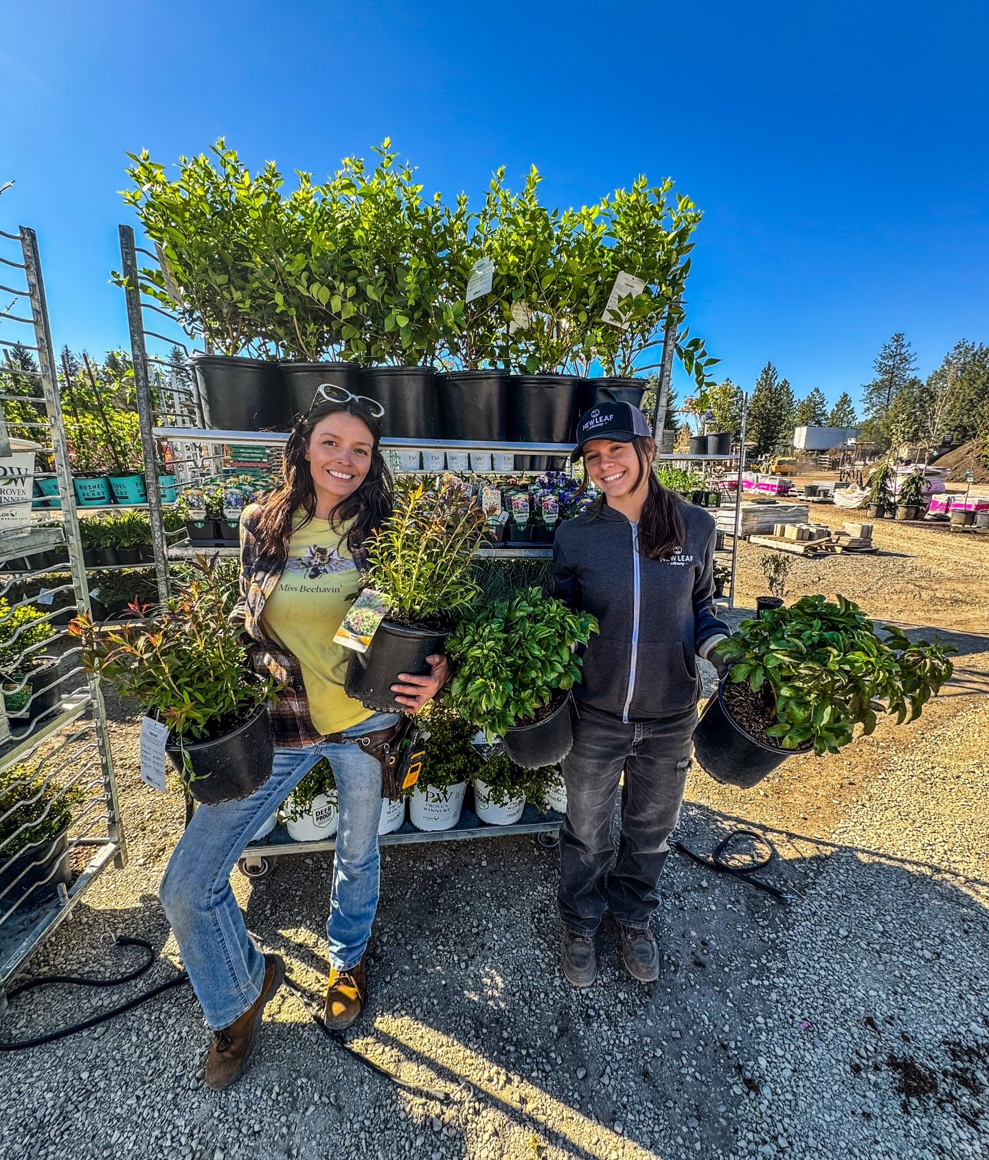 Sunshine + Blue Skies = the perfect excuse for fresh blooms! ☀️ 💐

We&rsquo;re out soaking up the sun and spreading joy with our newest arrivals of gorgeous flowers and happy plants.

The weather is beautiful today! Stop by and see what&rsquo;s bloo