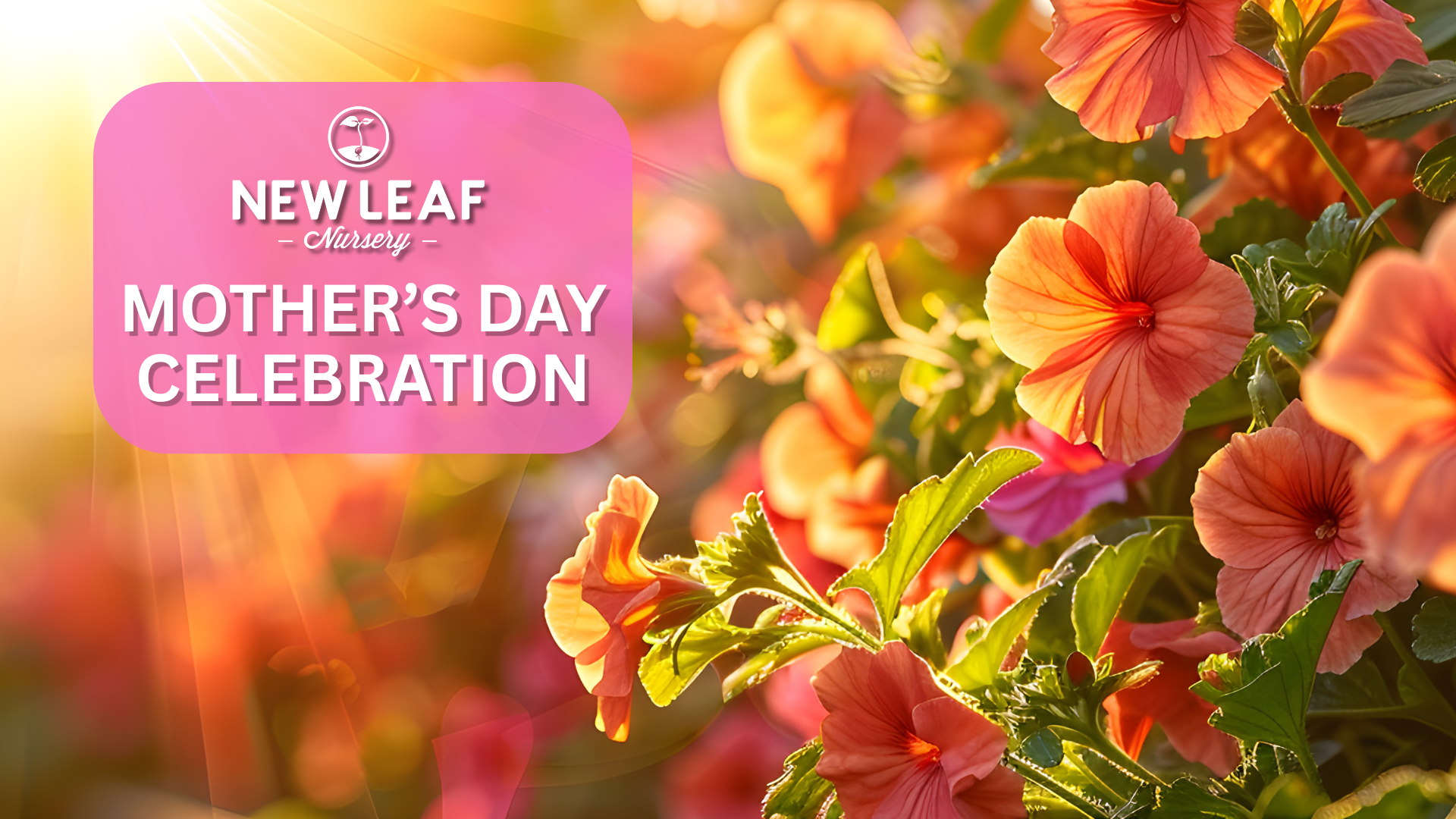 Mother's Day at New Leaf