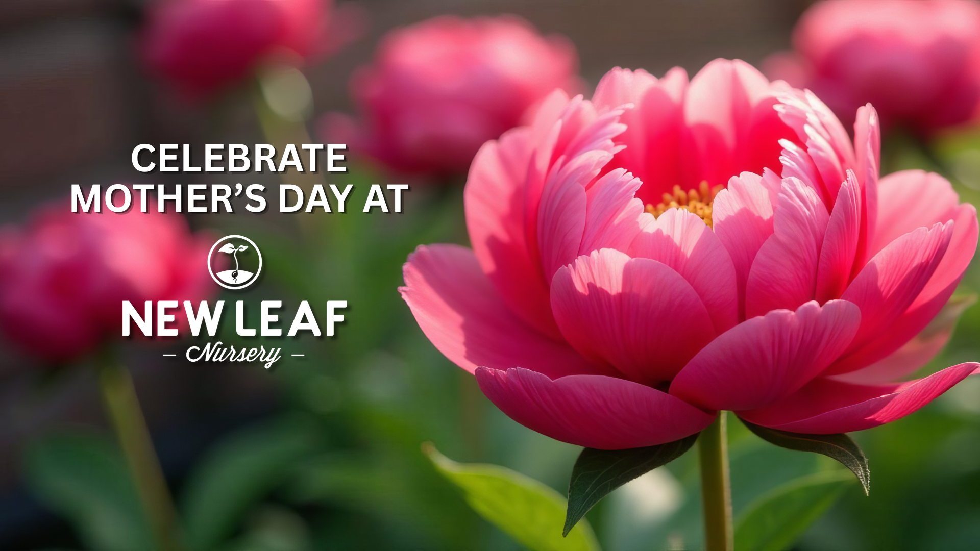 Mother's Day at New Leaf