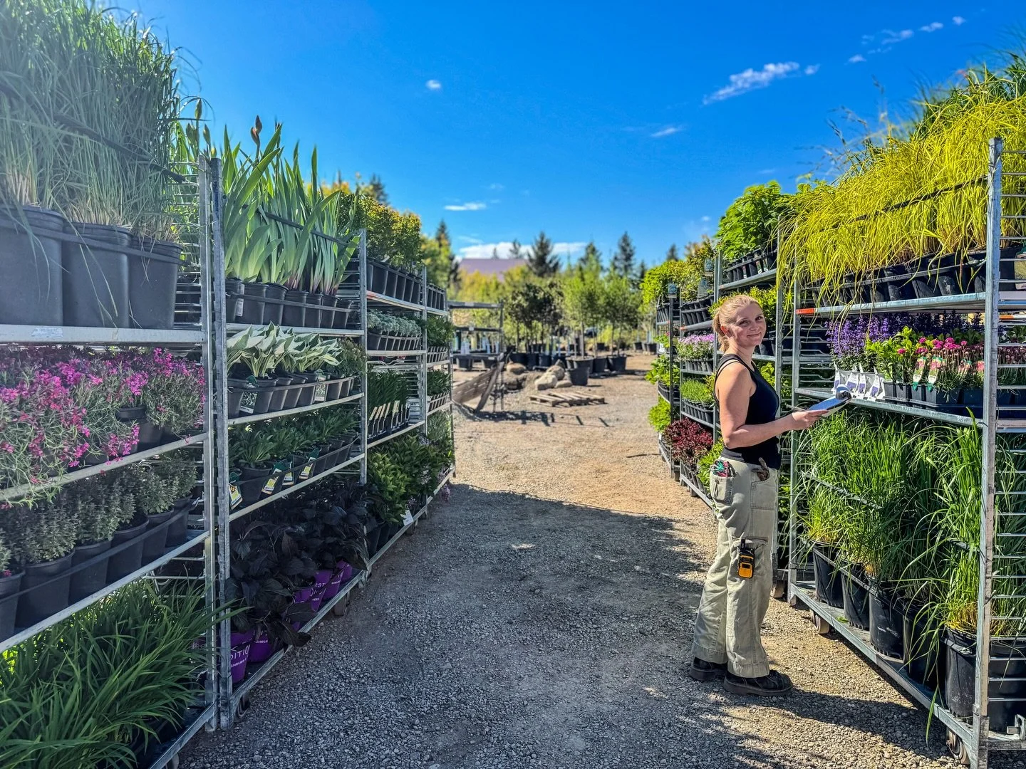 Our BIGGEST delivery yet just rolled in!

From beautiful greenery to dreamy blooms, plus a huge selection of annuals, perennials, berries, and more &mdash; there&rsquo;s so much to explore right now. 🌿🌸

Fresh arrivals are making their way into the