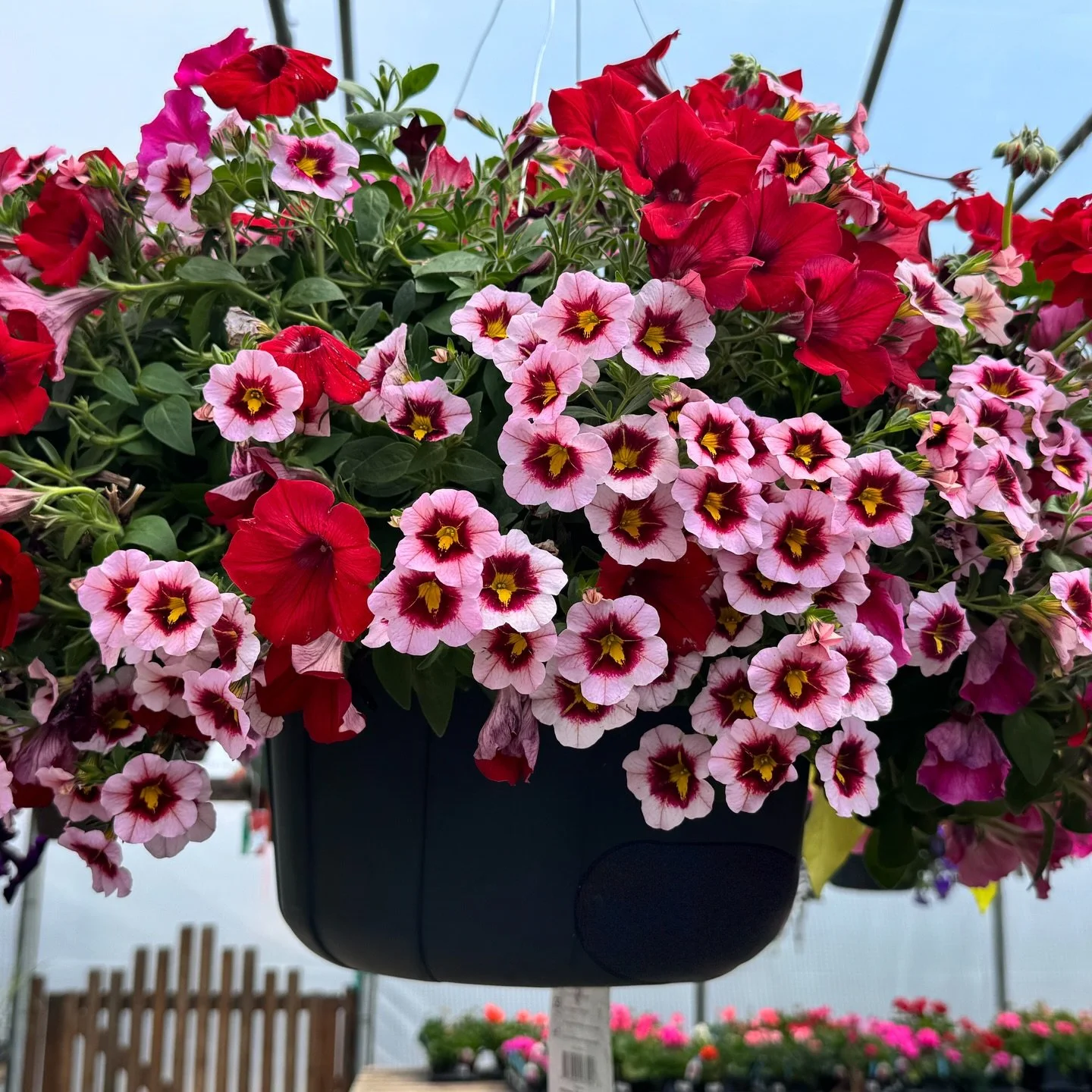 0c7f6753-1741-1b91-ffb1-f542a2dfabe5.jpg
