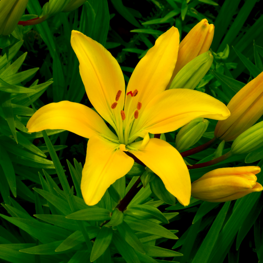 499780cb-412f-3588-7bb6-2b8098830c18.png