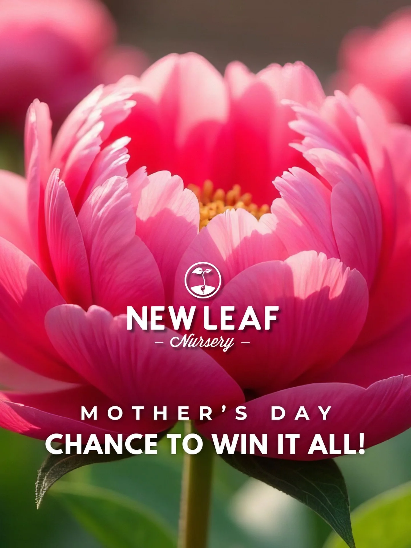 MOTHER&rsquo;S DAY GIVEAWAY MAGIC is happening at New Leaf Nursery! ✨ 

We&rsquo;re turning up the love this Mother&rsquo;s Day weekend with a giveaway that&rsquo;ll make your heart bloom. 💐

We&rsquo;re giving THREE amazing moms the chance to have 