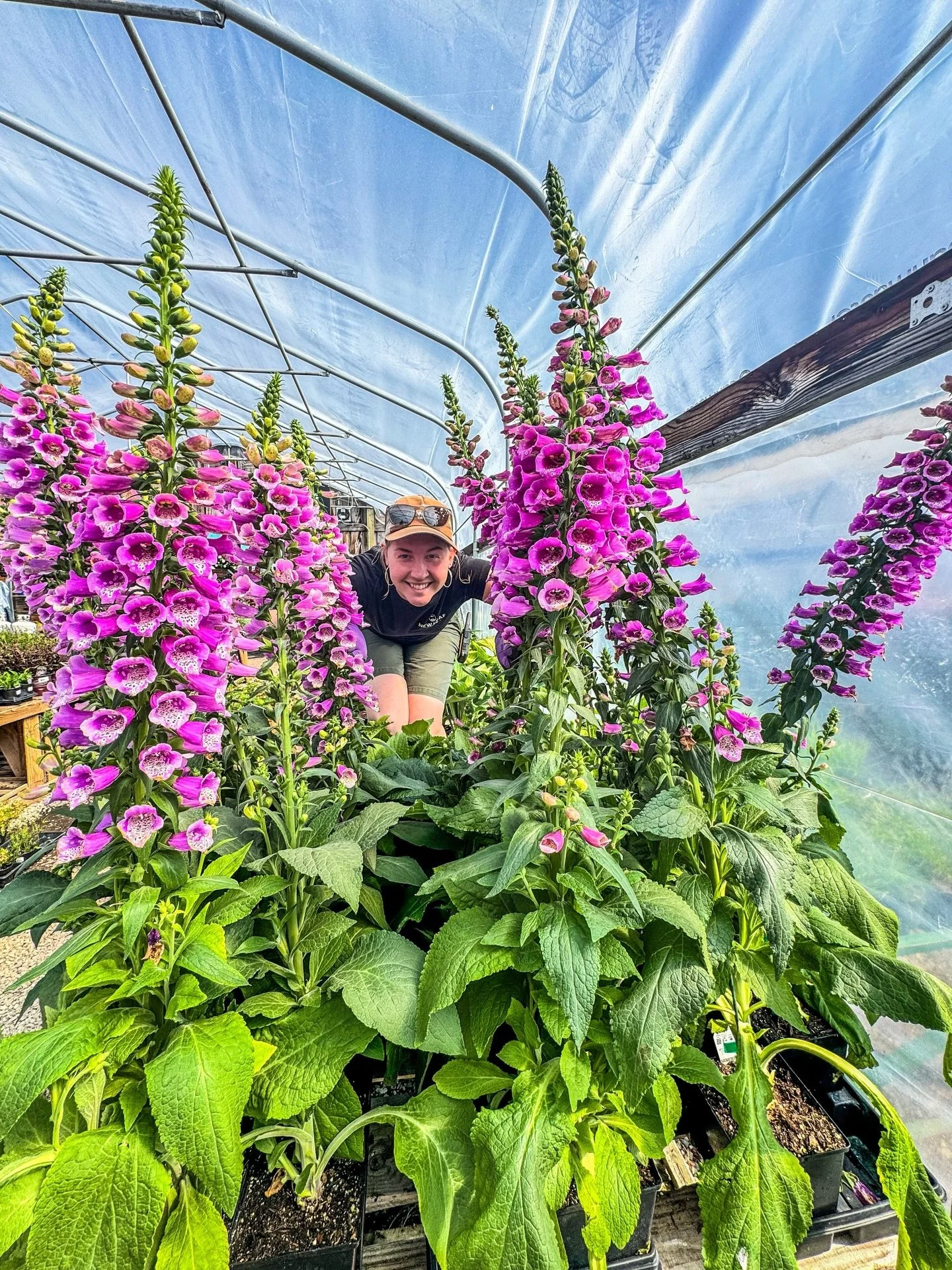 If we didn&rsquo;t have it yesterday&hellip; don&rsquo;t worry, we&rsquo;ve got it now. 😏🌿✨

After an incredible Mother&rsquo;s Day weekend, the nursery is officially FULLY restocked and looking better than ever. We&rsquo;re still soaking in what a