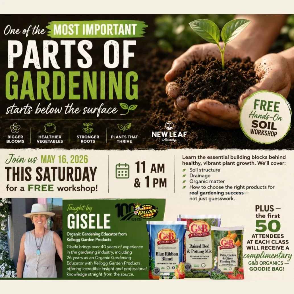 One of the MOST important parts of gardening starts below the surface. 🌱

If you want bigger blooms, healthier vegetables, stronger roots, and plants that truly thrive, it all starts with your soil&mdash;and this is the class that can completely cha