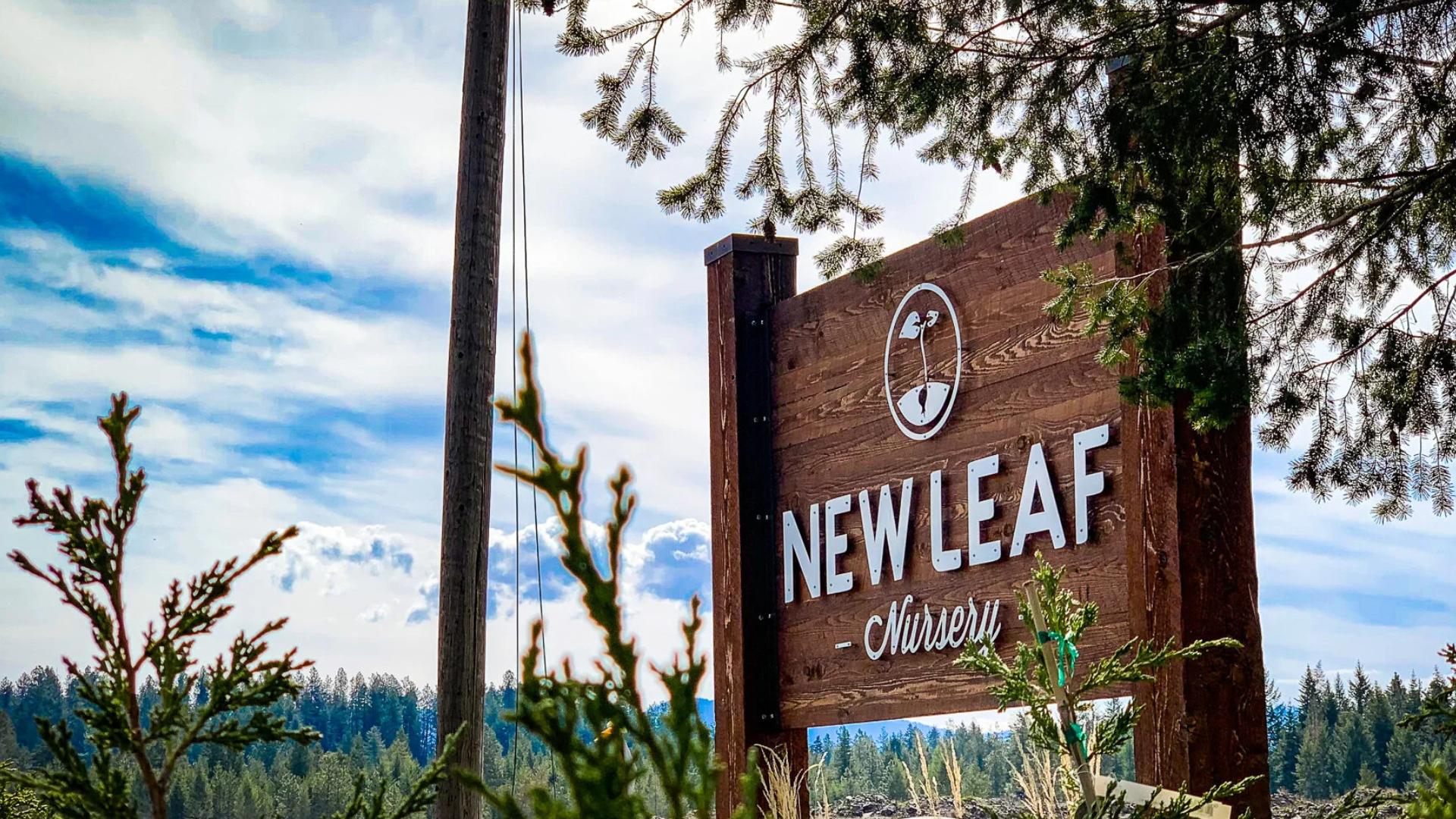 Hayden Chamber ‘After Hours’ at New Leaf