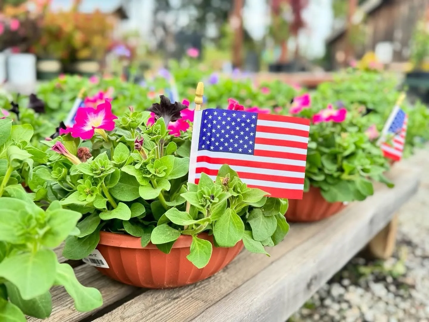 🇺🇸 Memorial Day Weekend is upon us. 🇺🇸

As a way to honor the Military family members who have lost a loved one in service to our country, a donation will be made to the local VFW in CDA for scholarships. Note cards will be provided this Saturday