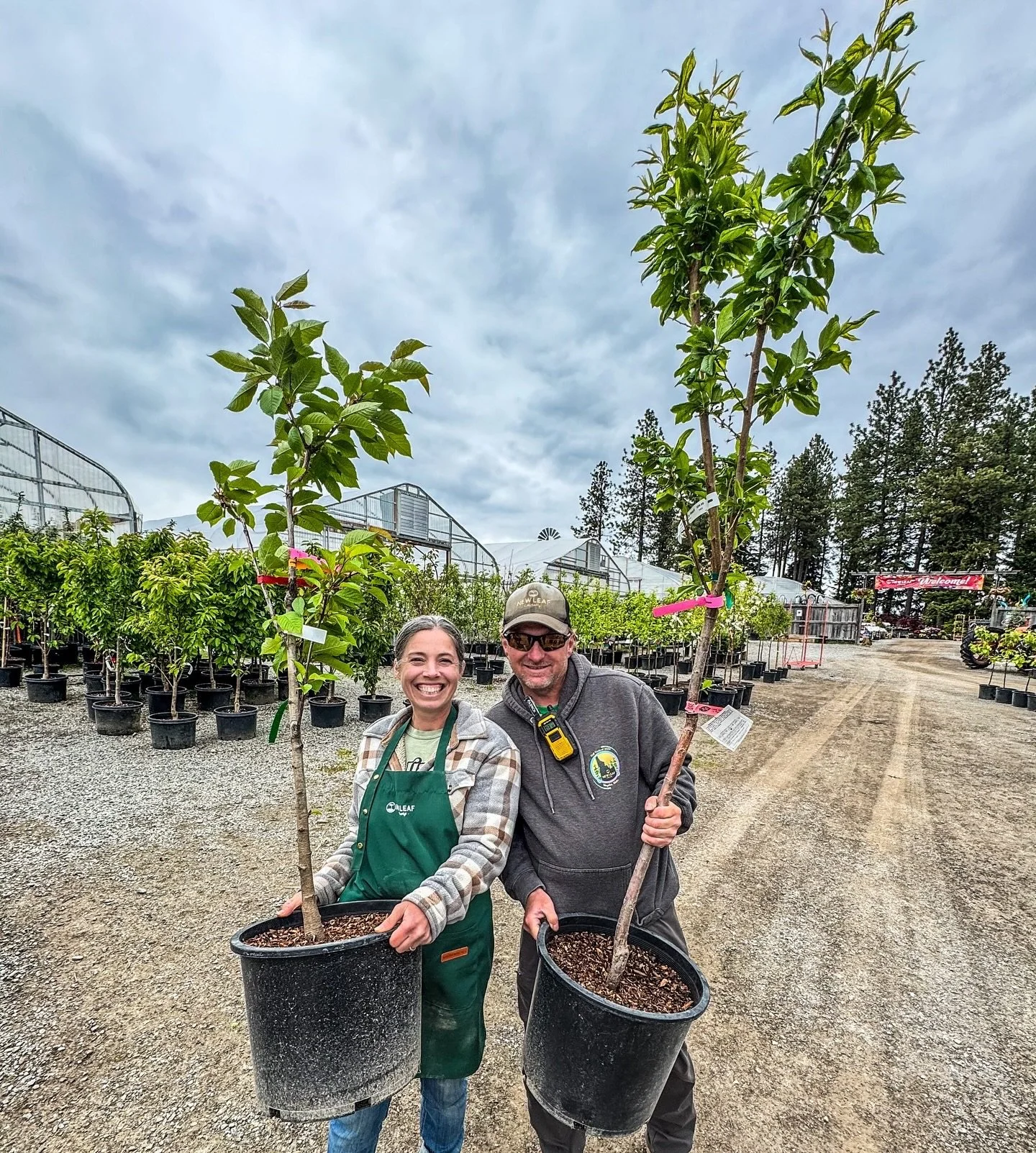 🍎🍐🍒🍑 If you purchased any fruit trees from us, they eagerly await their new home in your garden, and we would love to see them thrive in your care. We kindly request that anyone who has purchased fruit trees from us please come to pick them up by