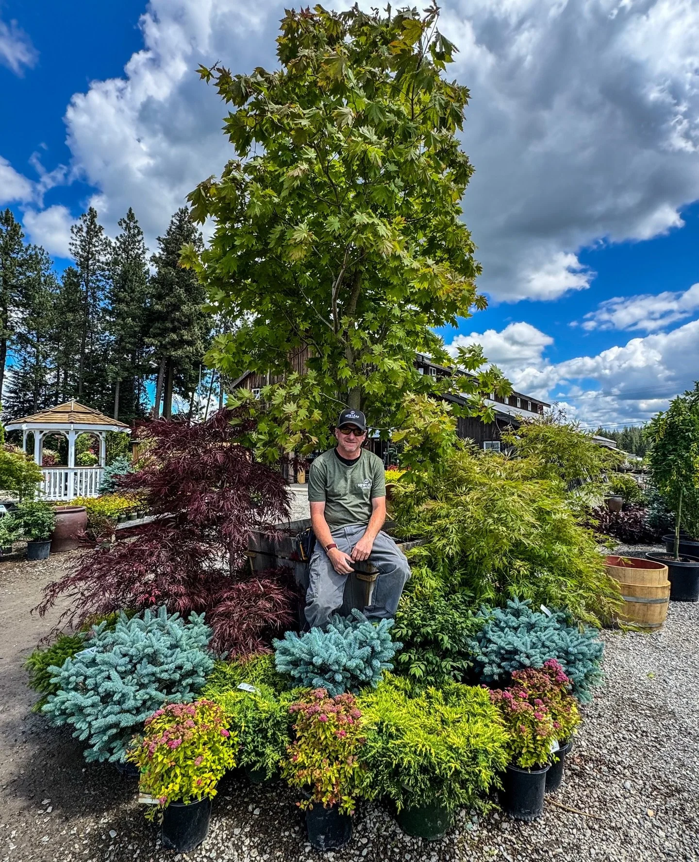 🌿✨ You met Rich&hellip; now meet Pat! ✨🌿

If you&rsquo;ve admired the beautiful displays throughout the nursery, there&rsquo;s another key player you should know about!

Pat is one of the talented minds behind the stunning plant combinations, eye-c