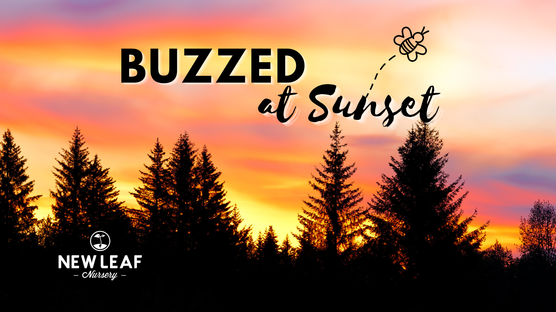 Buzzed at Sunset