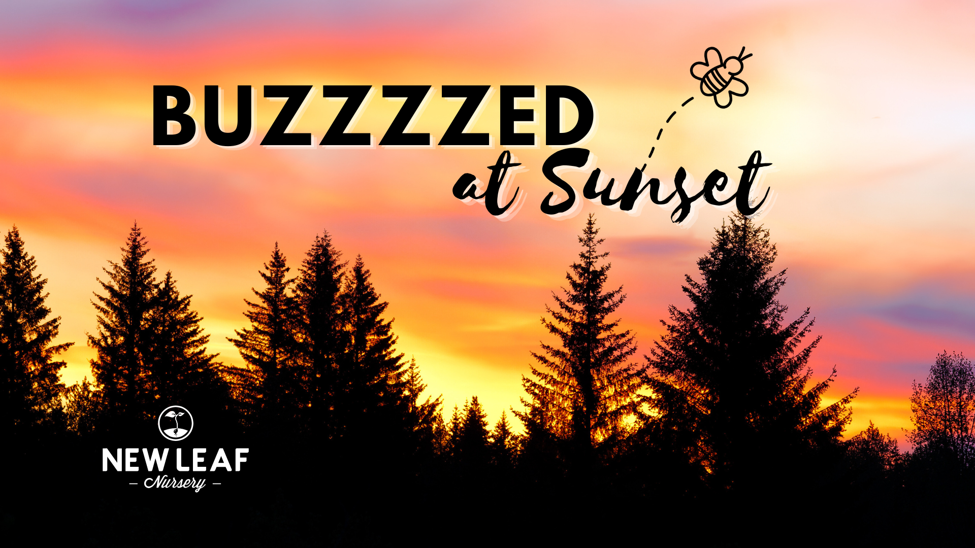 Buzzzzed at Sunset