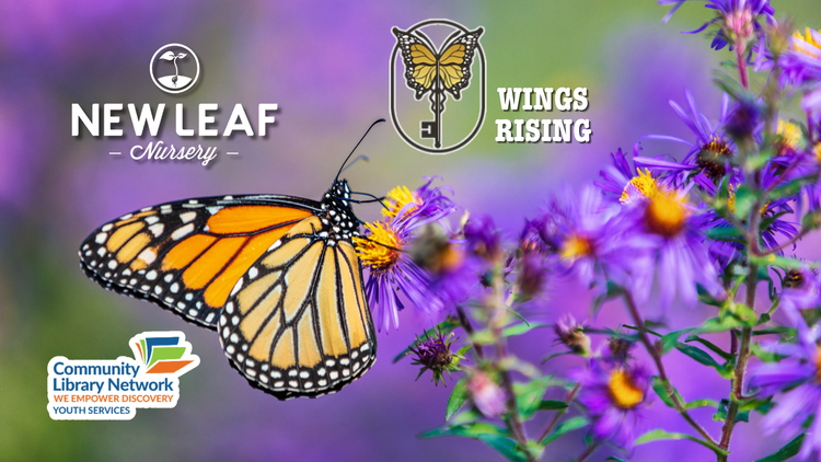 Story Time in the Nursery with Hayden Library: Featuring a Live Butterfly Release!  (Free Event)