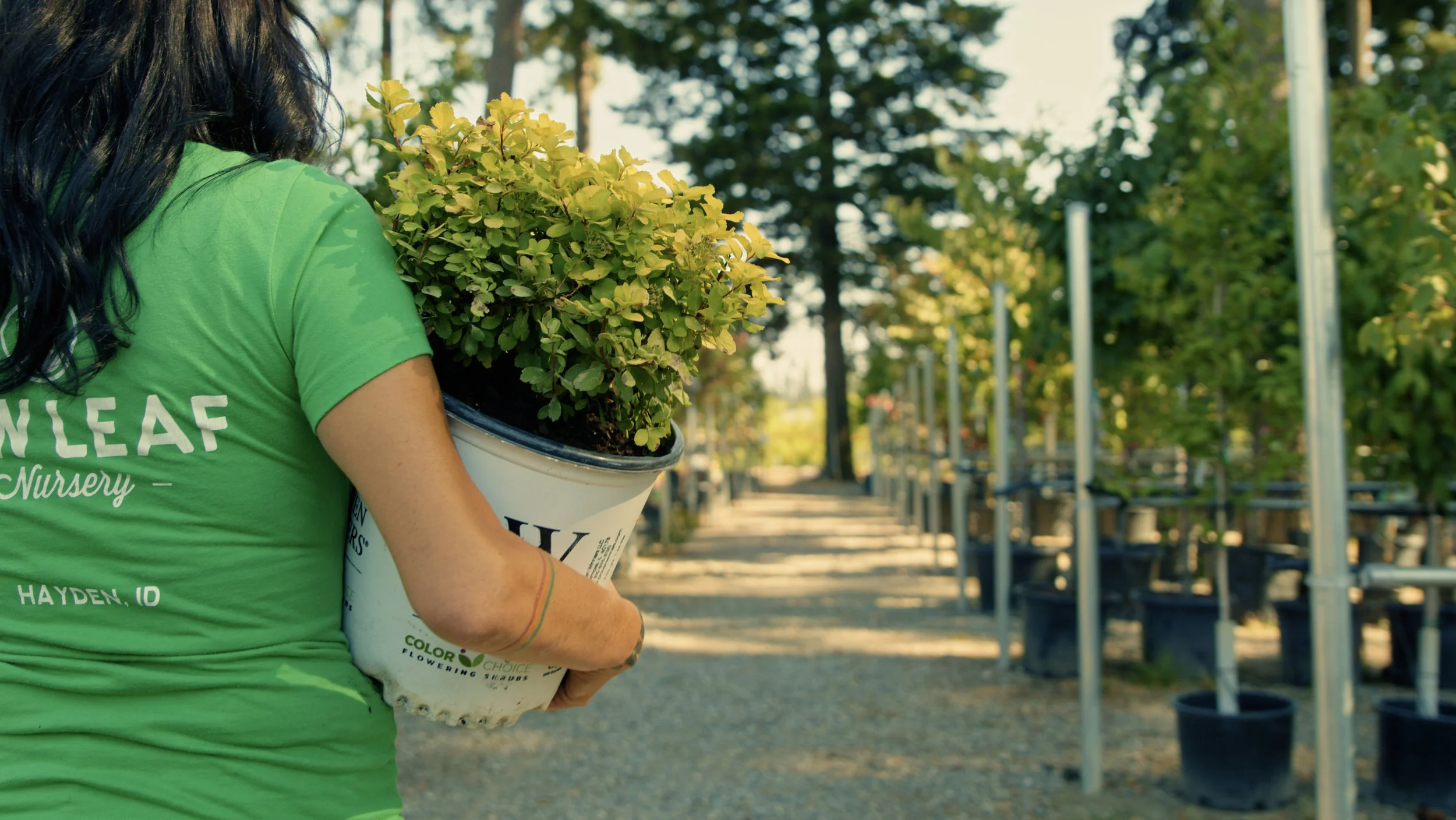   DIG INTO OUR LATEST NEWS  