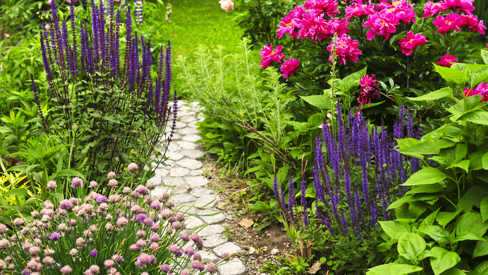 Keep Your Garden Happy in August