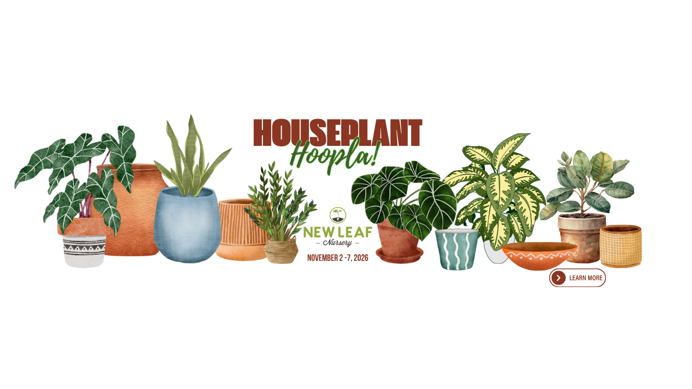 Houseplant Hoopla! (Website).png