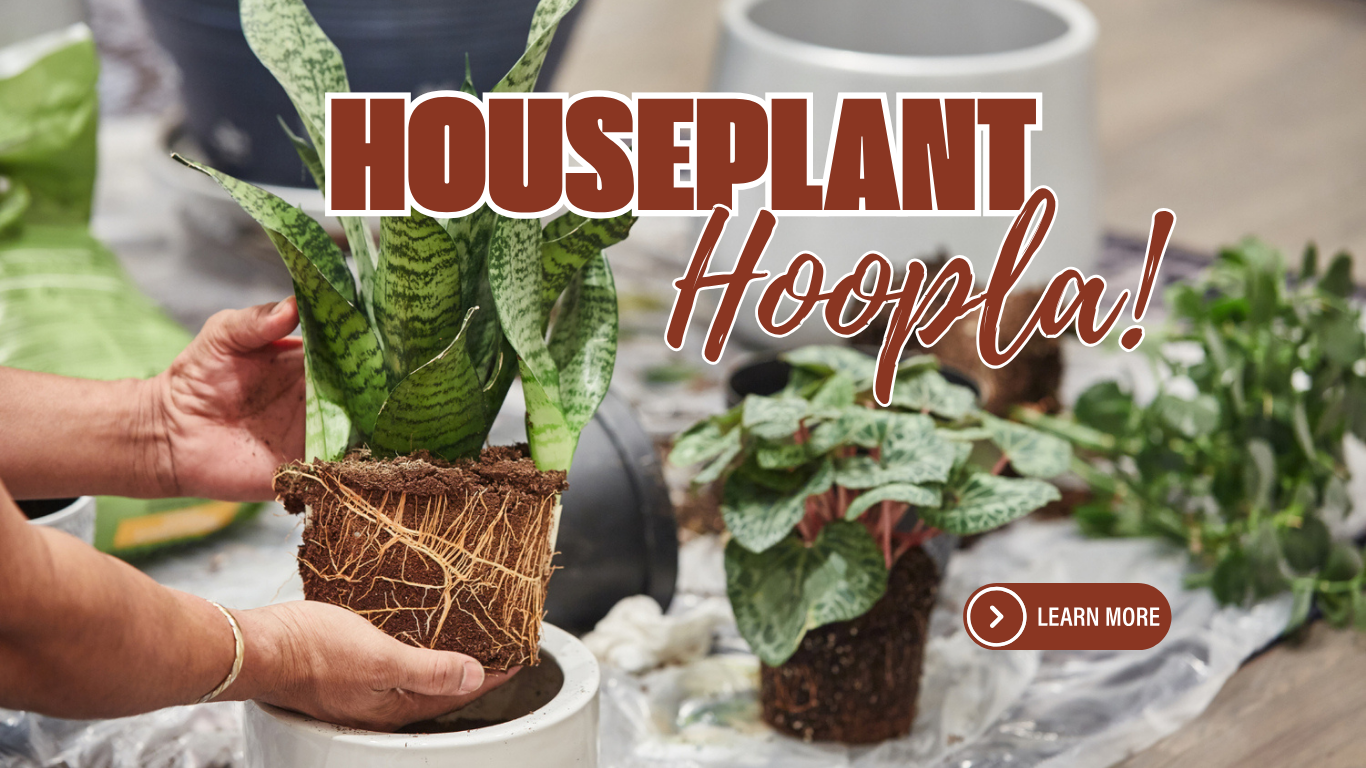 Houseplant Hoopla! (Website) (3).png