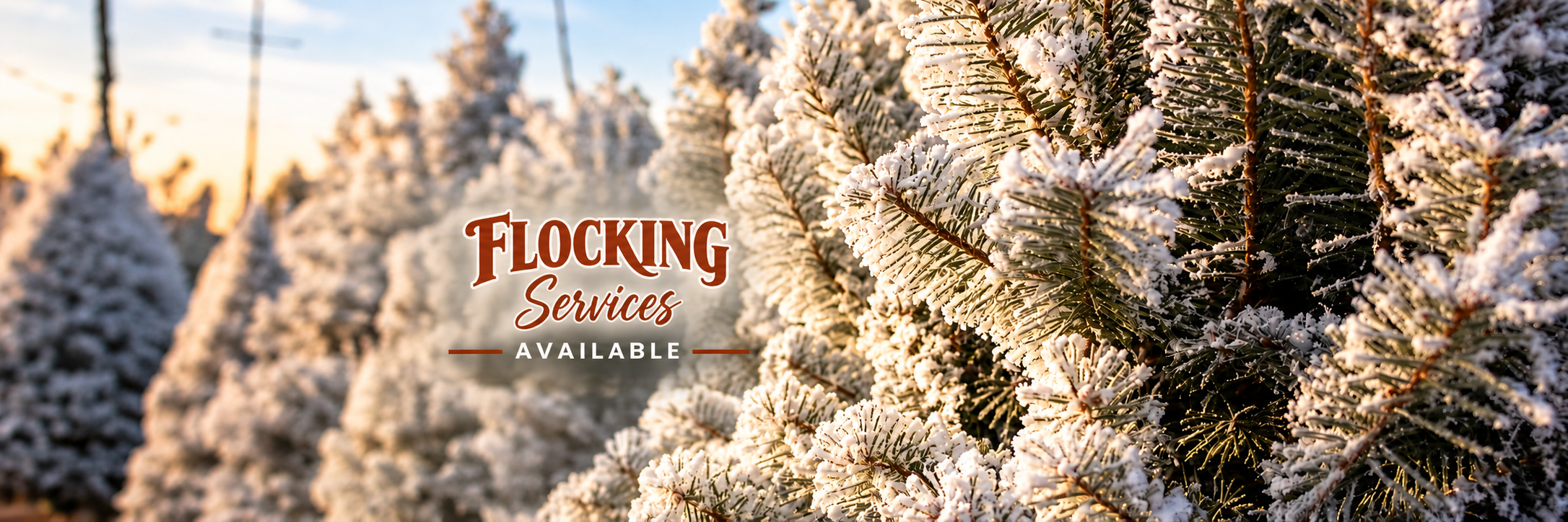 Flocking Services Christmas Tree Banner.png