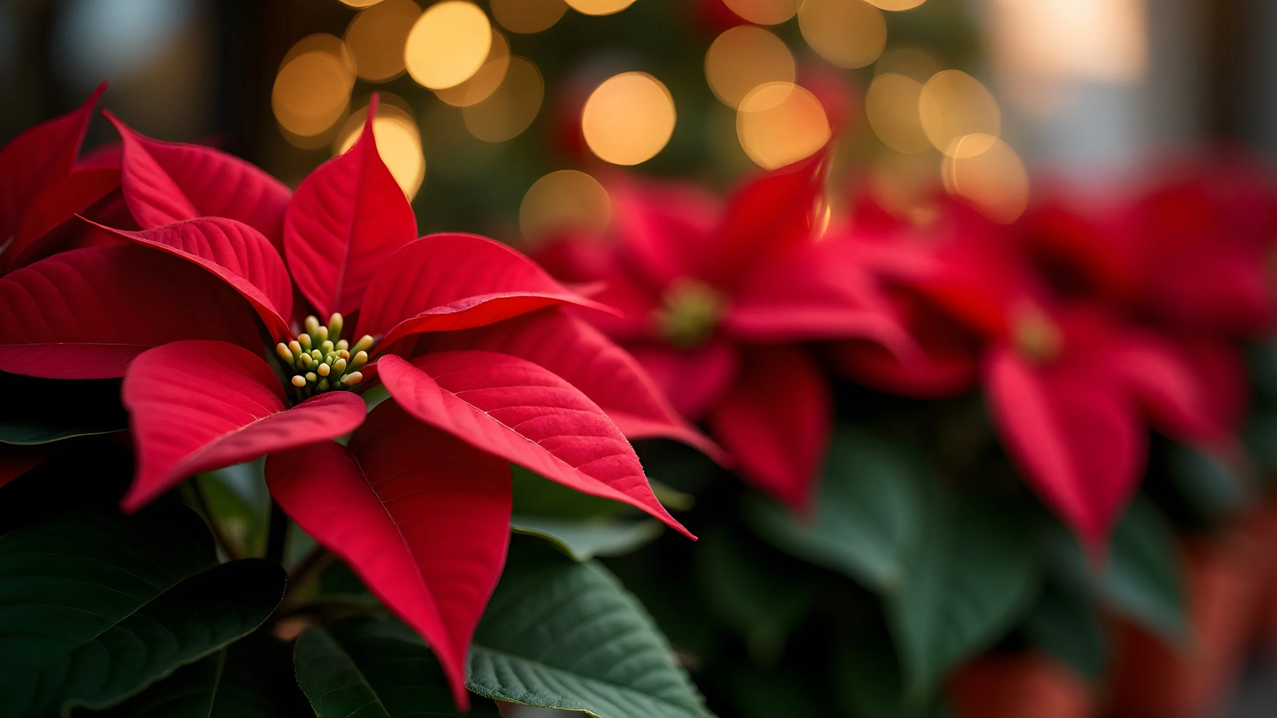 AdobeStock_978368411.jpeg