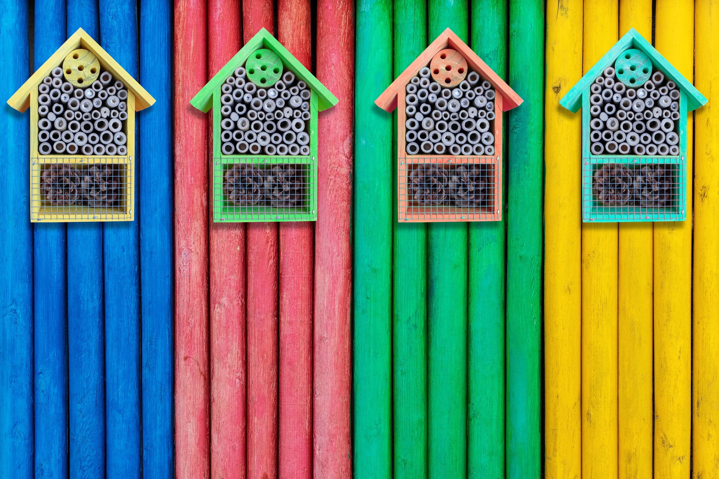 AdobeStock_390206292.jpeg (Copy)