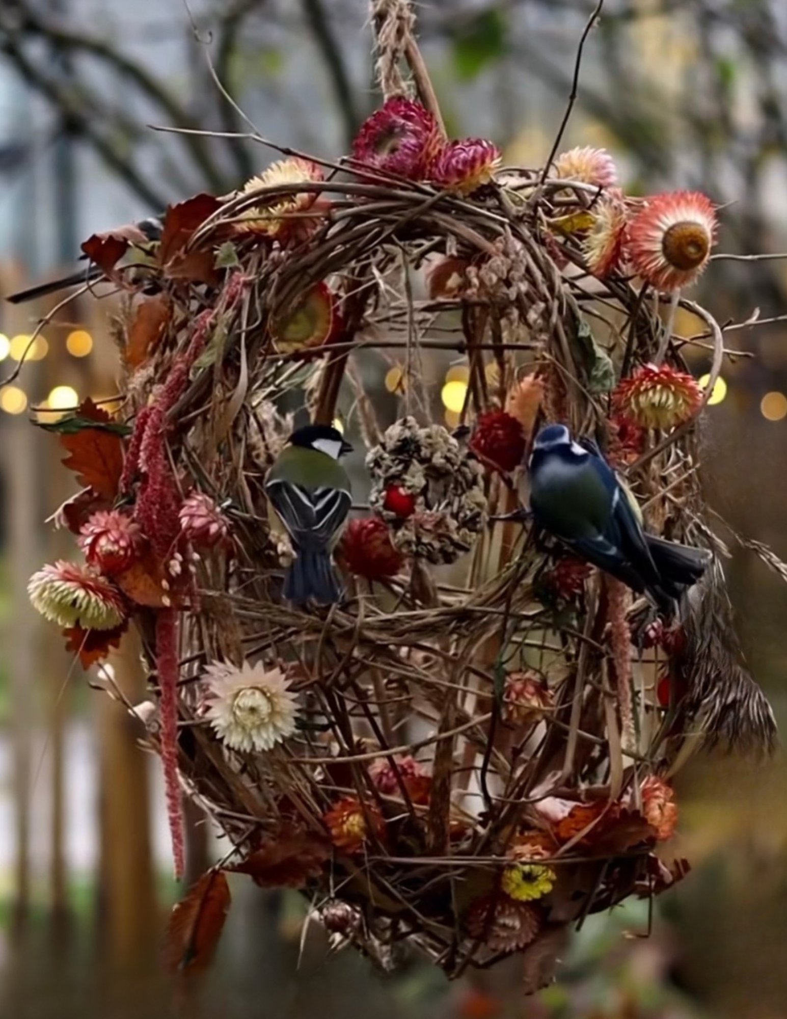 Untitled design - 2025-12-15T100817.089.png