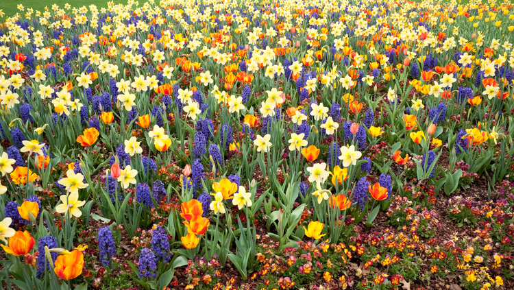 Untitled+design-55.webp