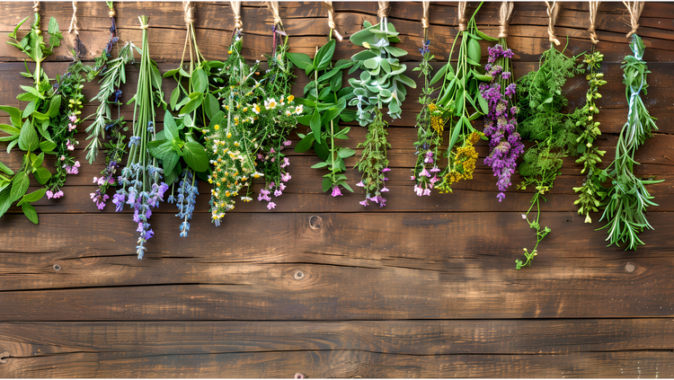 THE+FARMSTAND.pdf.png