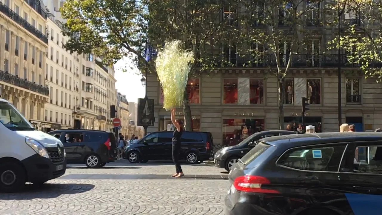À Toutes les Gloires de la France