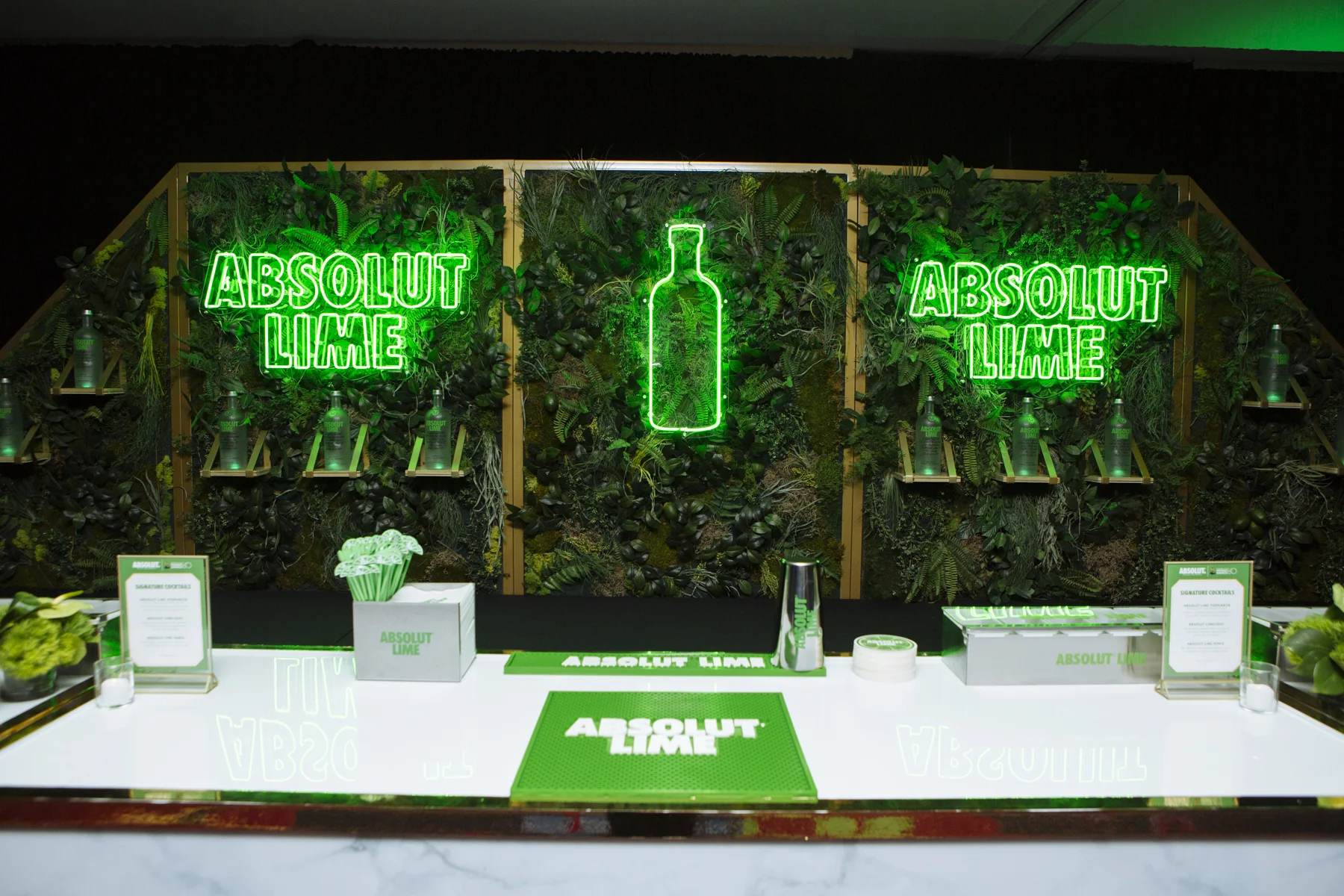 SaraKerens_Absolut-9390.jpg