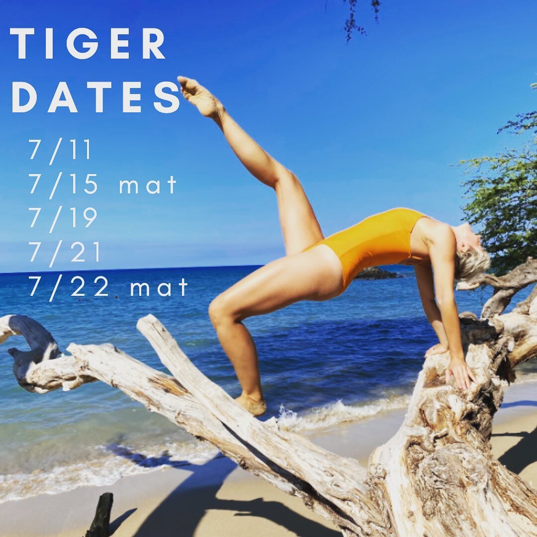 FIVE tigers left! I am going to miss this so much. If you are coming, let me know! Also know shows are selling great, so there will be a line for rush so it may not be as guaranteed. Try to sit in mezz if you buy ahead of time! TDF and todays tix als