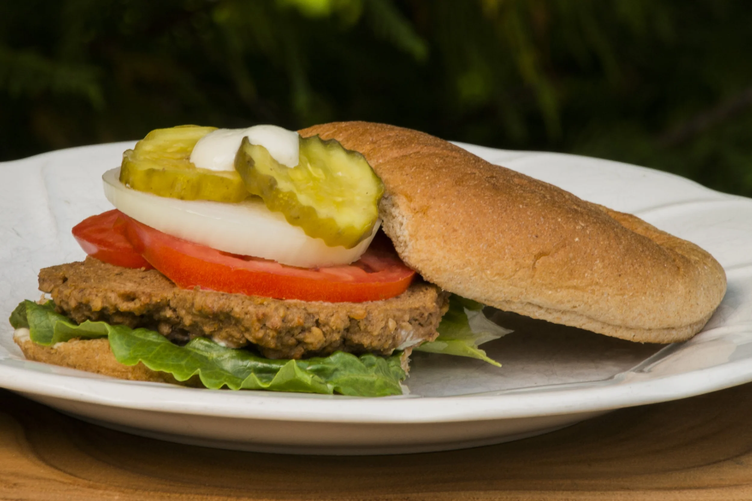 Quick Oat Burgers.jpg