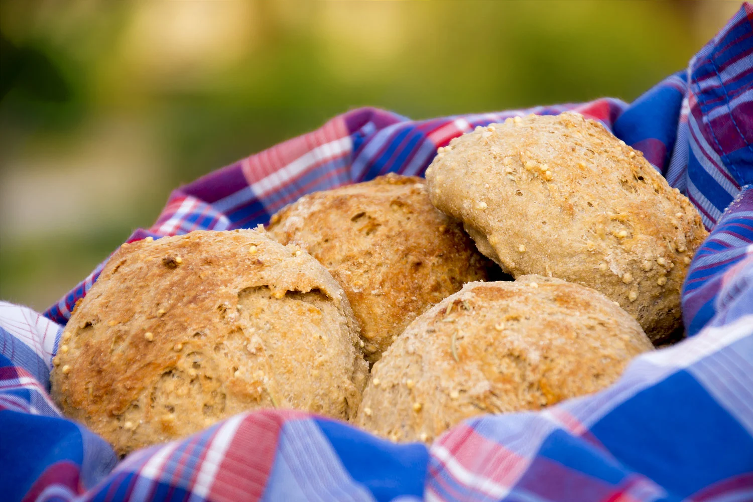 Soft Whole Grain Rolls w/Rosemary & Roasted Garlic