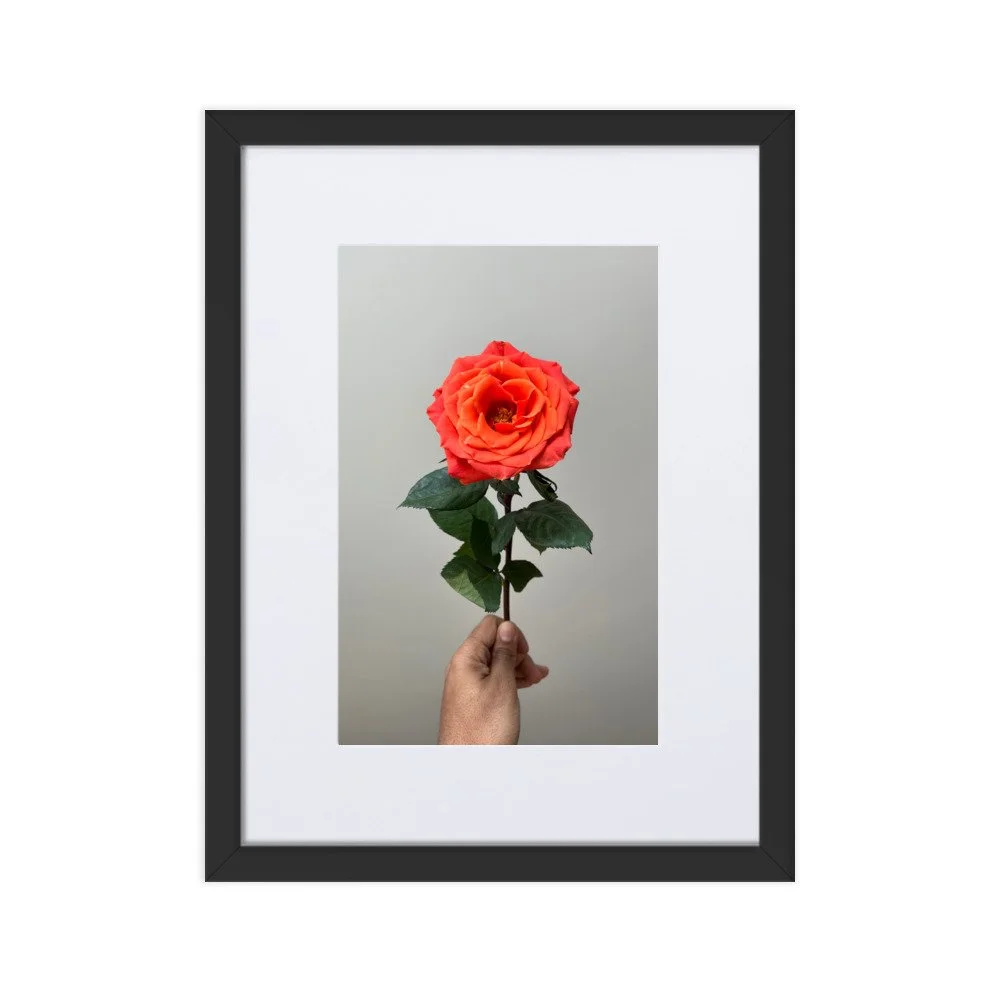 matte-paper-framed-poster-with-mat-(cm)-black-30x40-cm-transparent-6216c246c43f3.jpg