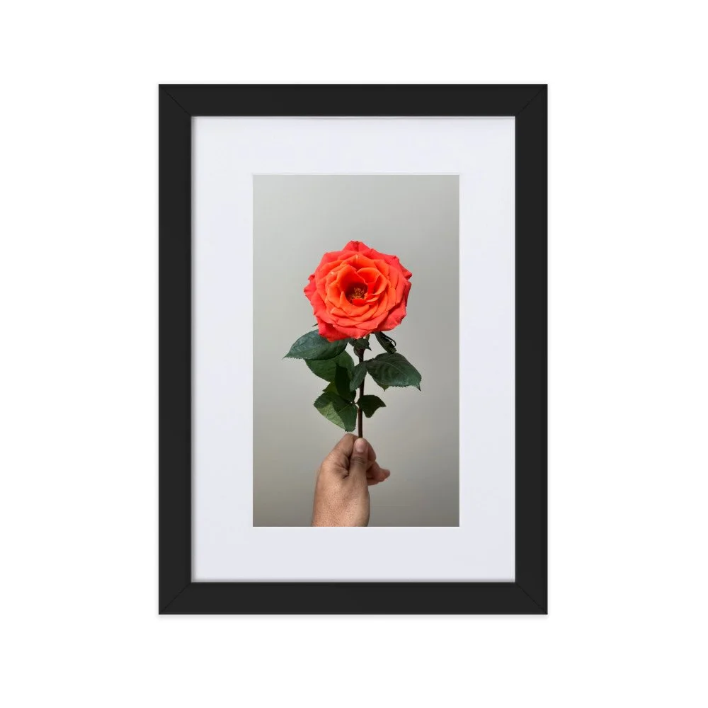 matte-paper-framed-poster-with-mat-(cm)-black-21x30-cm-transparent-6216c246c447c.jpg