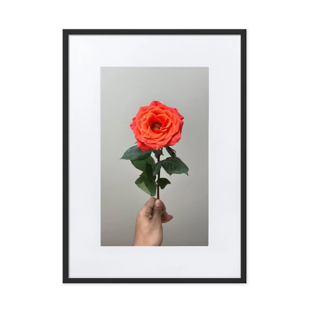 matte-paper-framed-poster-with-mat-(cm)-black-50x70-cm-transparent-6216c246c44f7.jpg