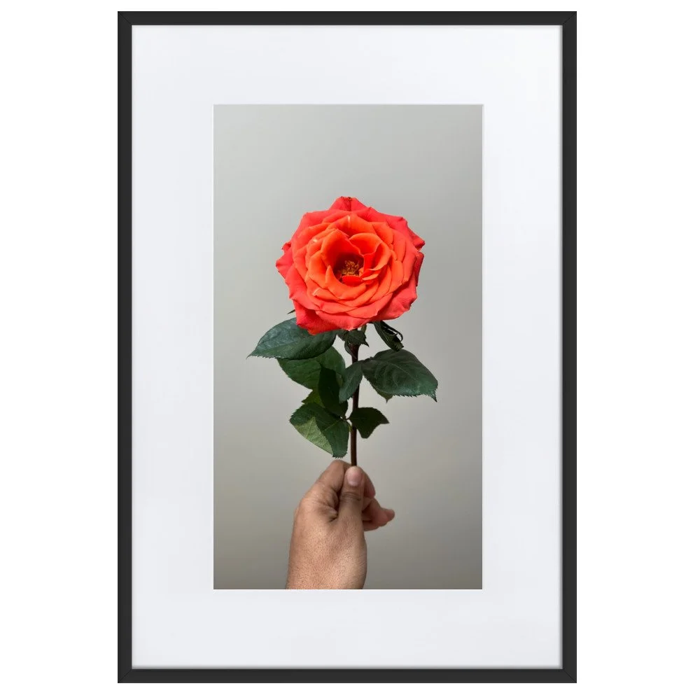 matte-paper-framed-poster-with-mat-(cm)-black-61x91-cm-transparent-6216c246c454a.jpg