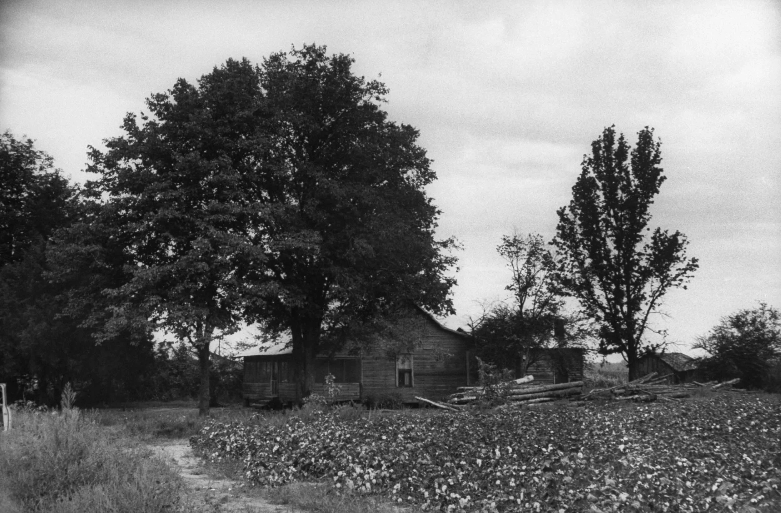 Site of Emmett Till's Kidnapping. (Photo by Ed Clark/The LIFE Picture Collection/Getty Images)