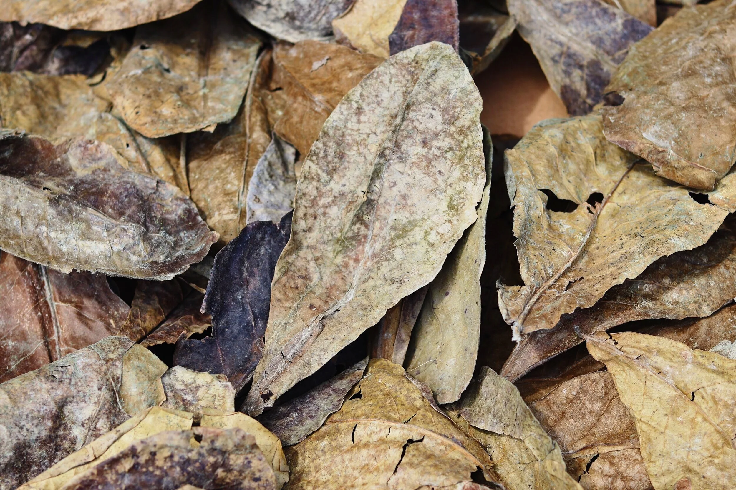 7FD687B9-DE96-4848-BD29-CB0F84E76F4F