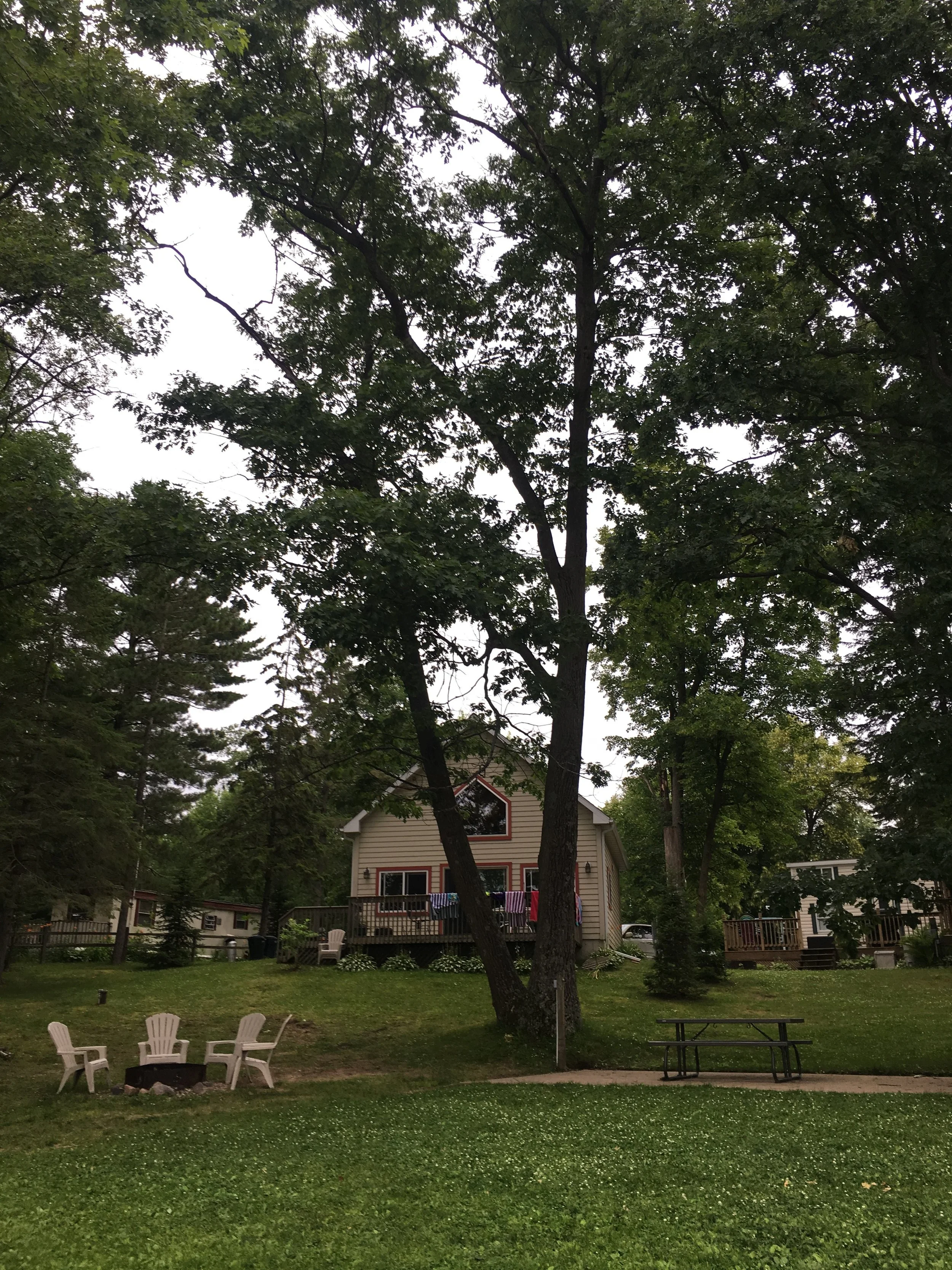  View of the Lake View cabin from the beach area 