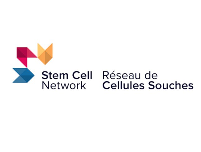 Stem Cell Network.jpg