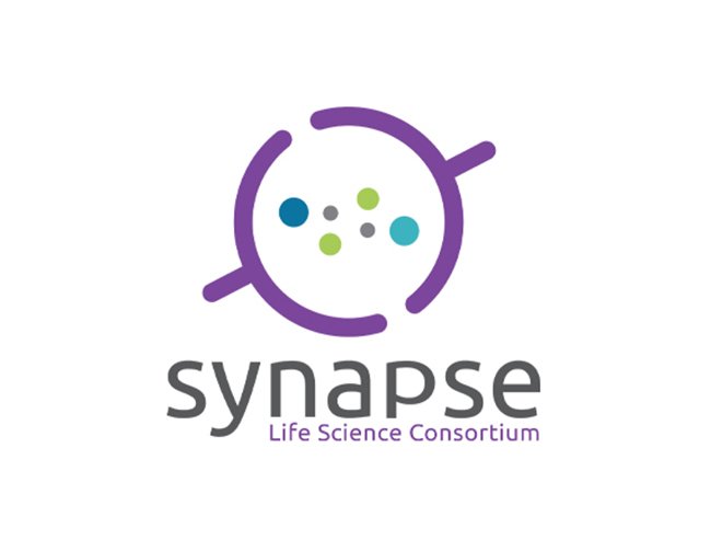 Synapse_web.jpg