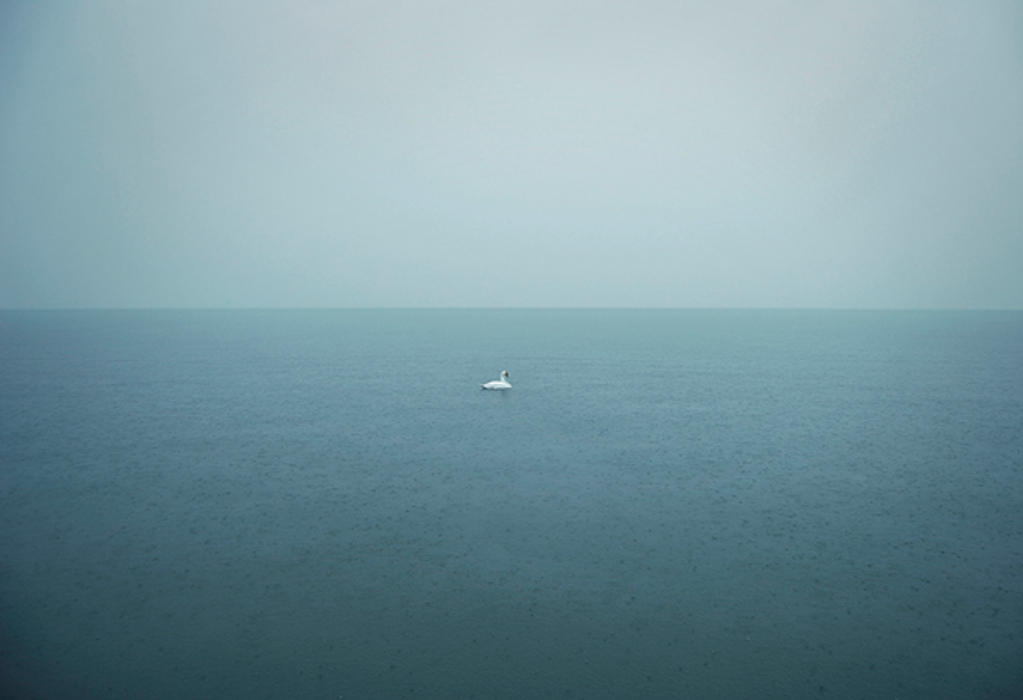 Screen Shot 2015-07-31 at 4.19.46 PM.png