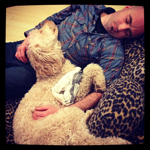 Bender and our puppy Charlie passed out together in the store