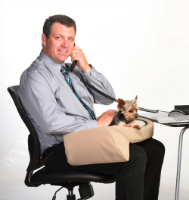 Take your Pet to work with the Lap Cozy