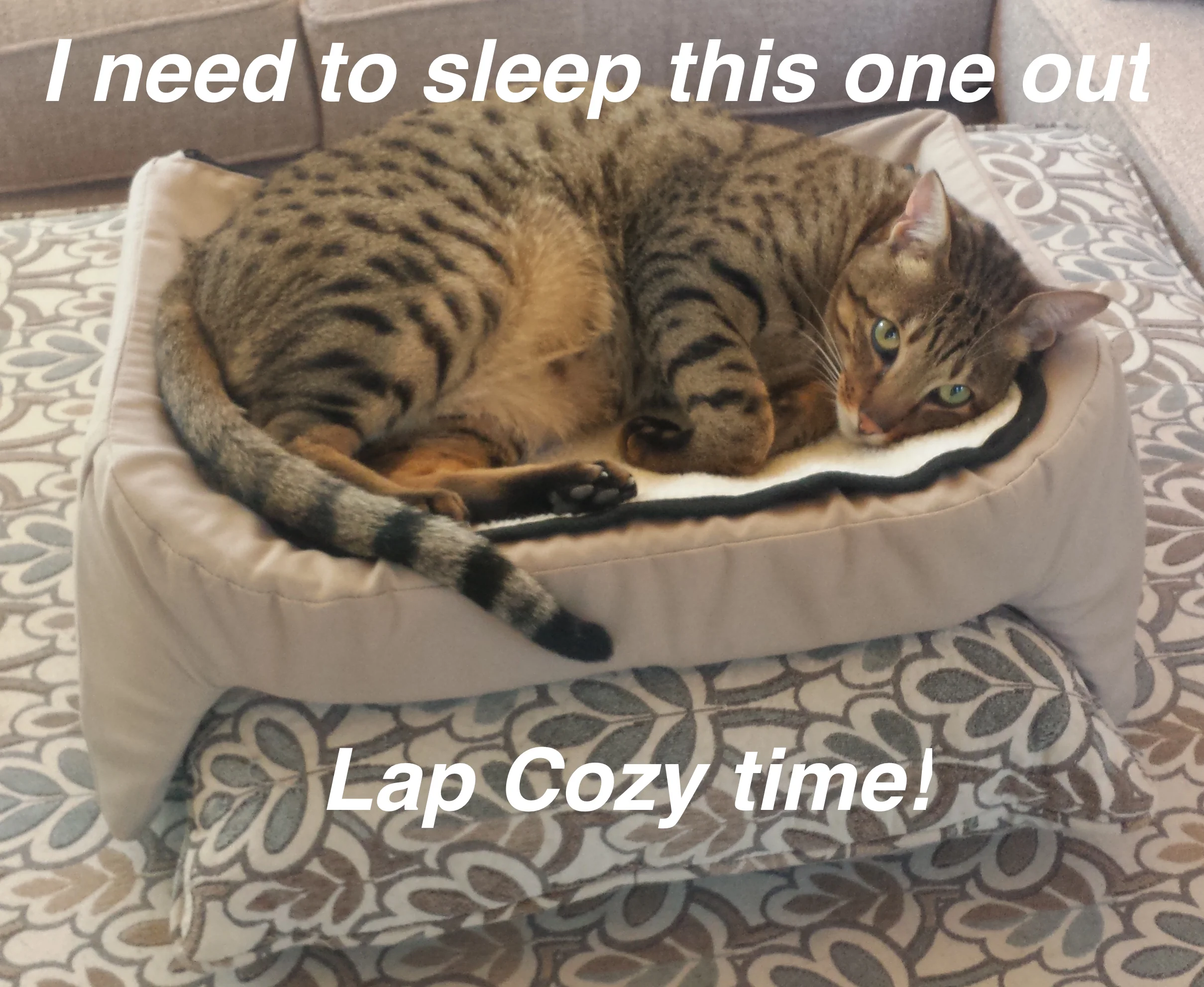 Well that is the End of our Pre-Order special!