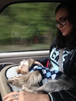 Lap Cozy User profile - Mac