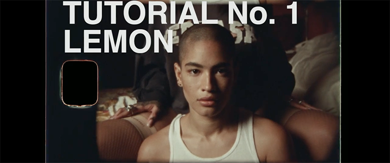 Lemon_0.40.png