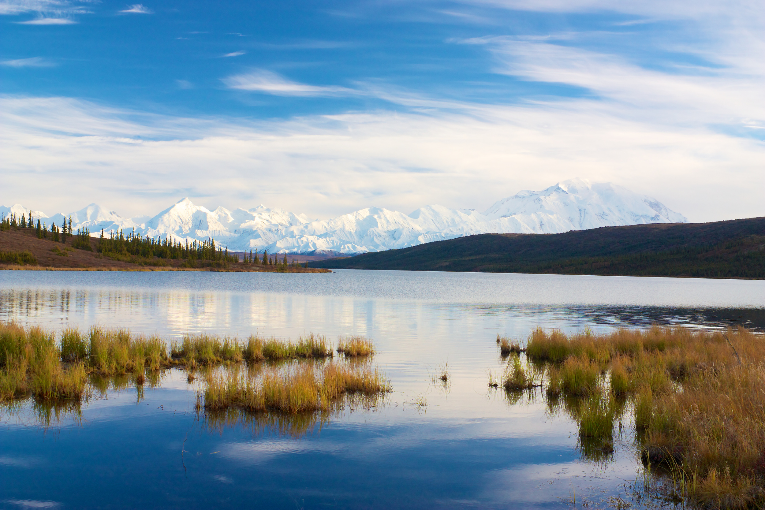 Dollarphotoclub_56611765.jpg