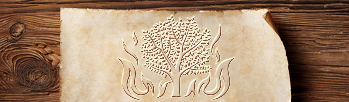 banner 02.jpg